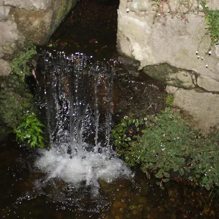 Apartamento Casa Da Alfóndega